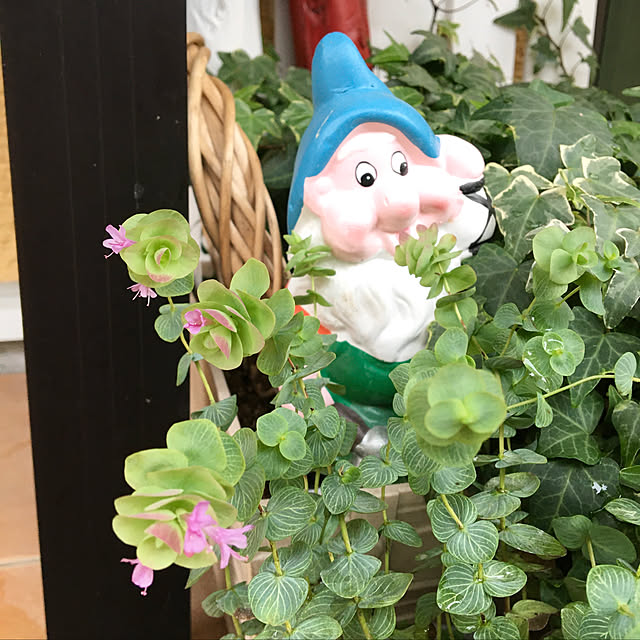 y---iさんの実例写真
