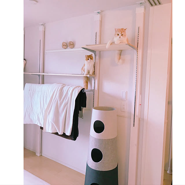 H.Tさんの実例写真