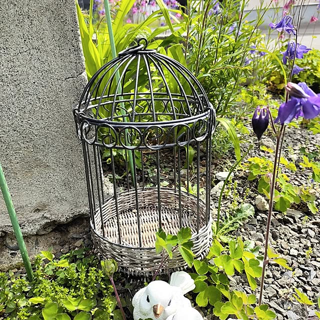 kiraさんの部屋