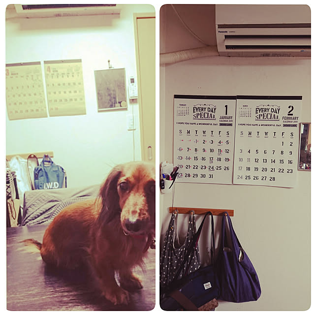 andさんの実例写真