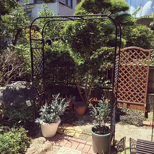 m-ktry.0530mikaさんの実例写真