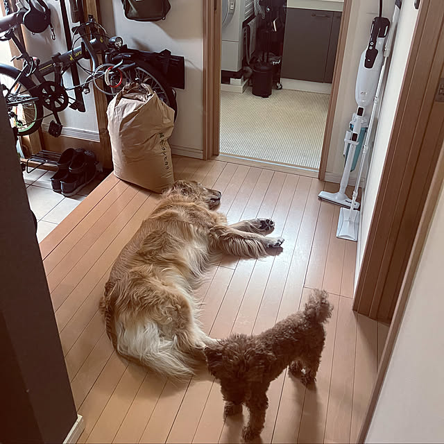 Royさんの実例写真