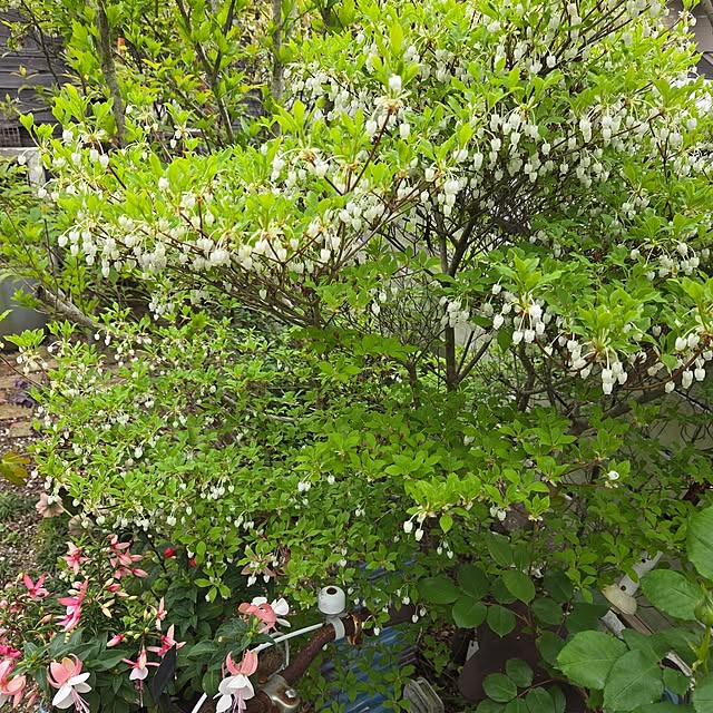 min_nimさんの部屋