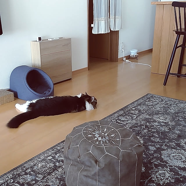 +CHIHARU+さんの実例写真