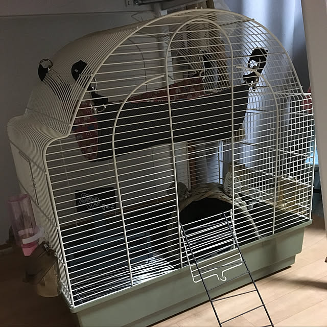 bambiさんの実例写真