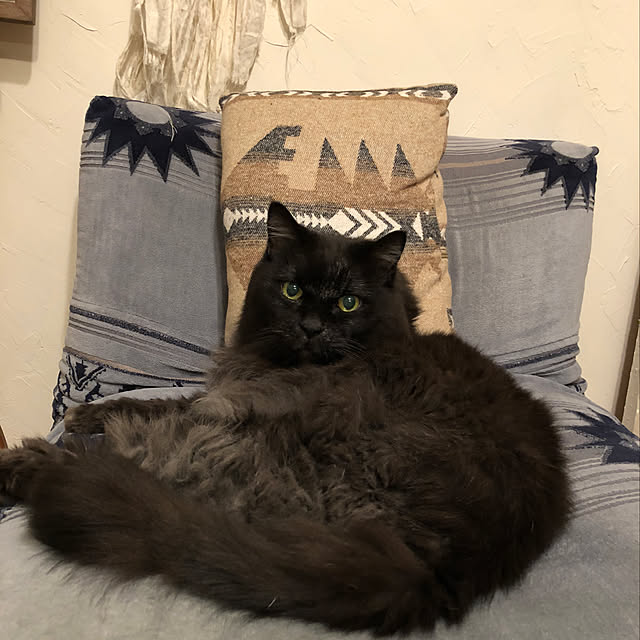 puffloveさんの実例写真