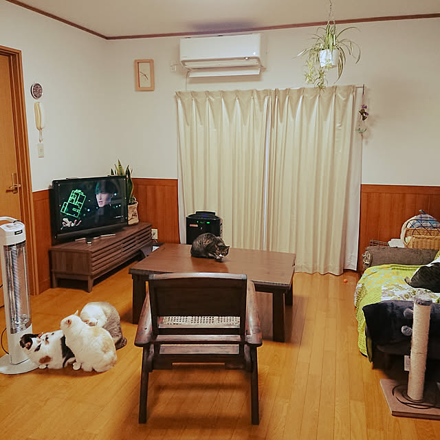 nachiさんの実例写真