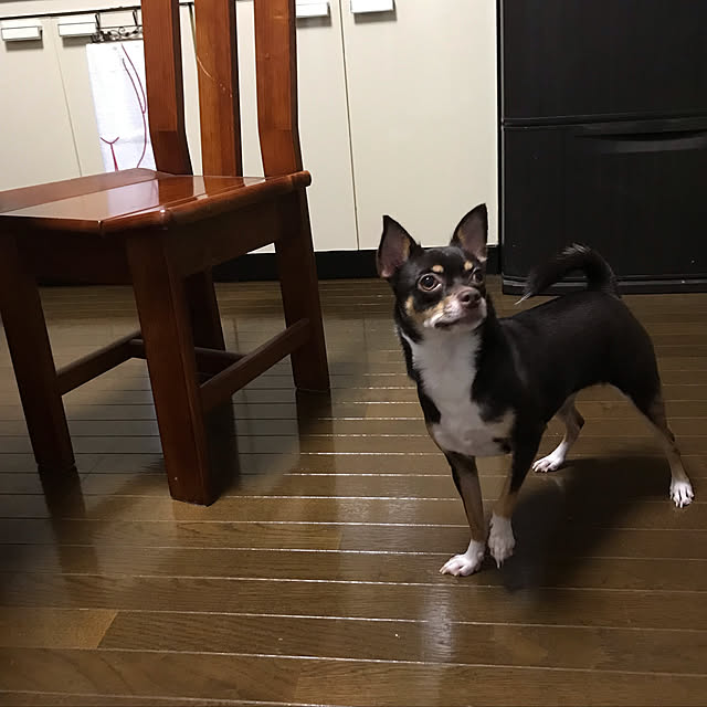 nacchintunnさんの実例写真