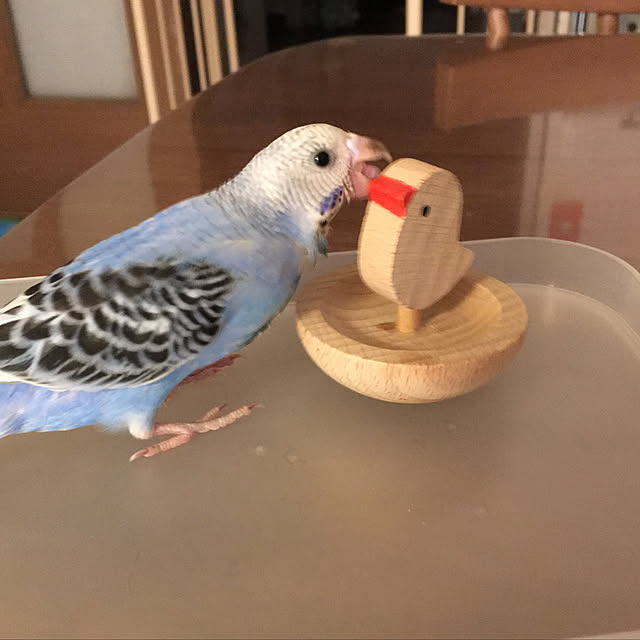 ohanaさんの実例写真