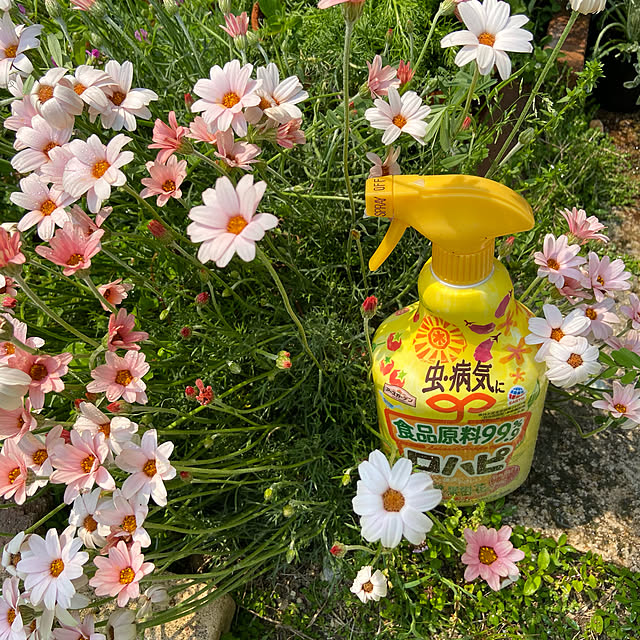 ronさんの実例写真