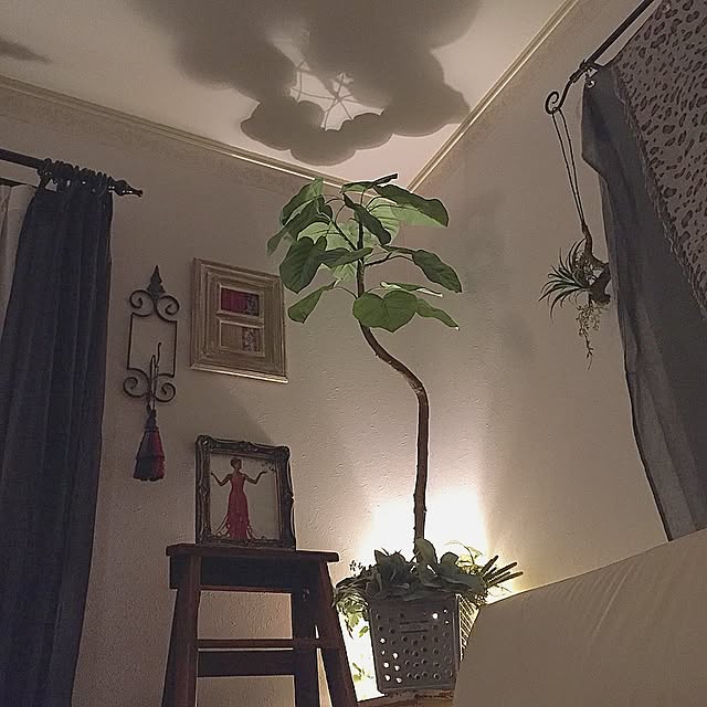 SAKURAさんの実例写真