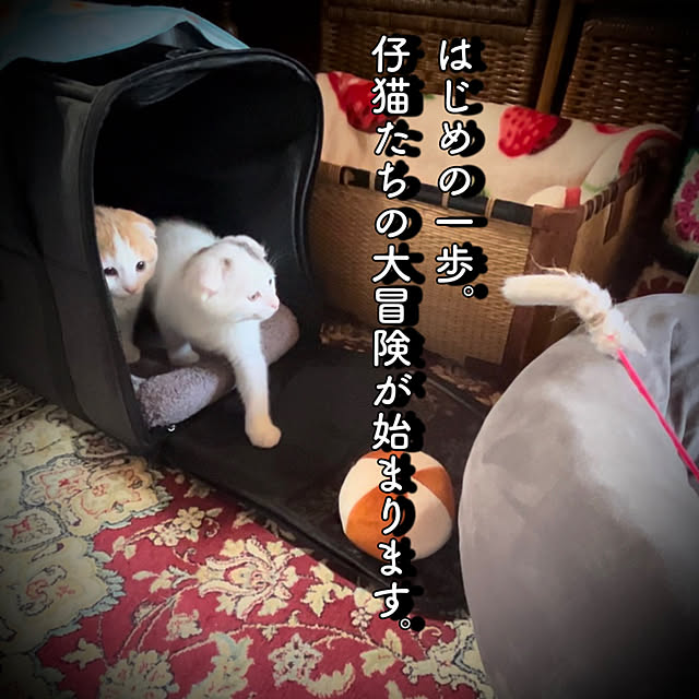 marusanさんの実例写真