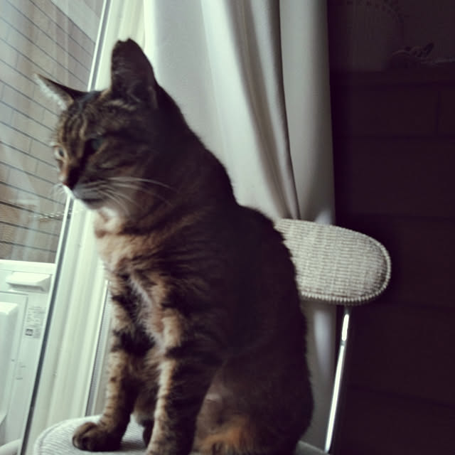 lilyさんの実例写真