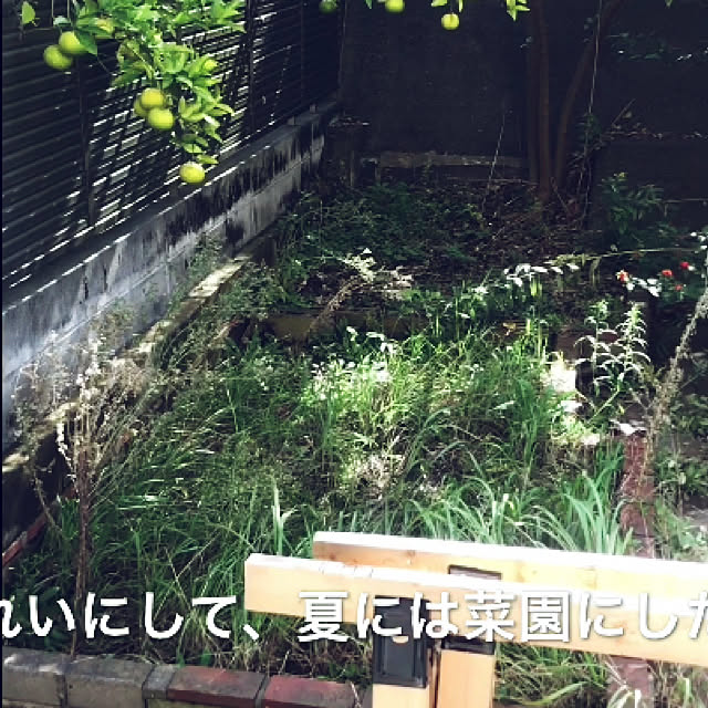 miyatetsu8888さんの実例写真