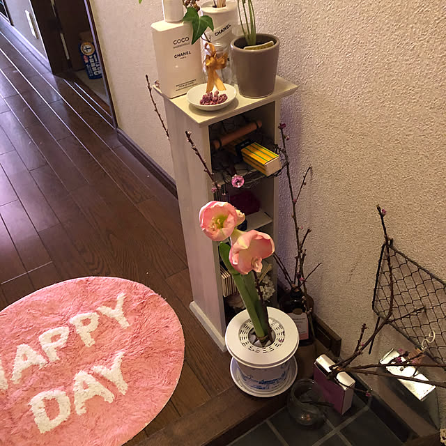 玄関/入り口のインテリア実例 - 2020-05-20 14:08:13