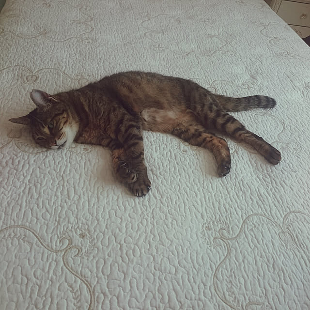 lilyさんの実例写真