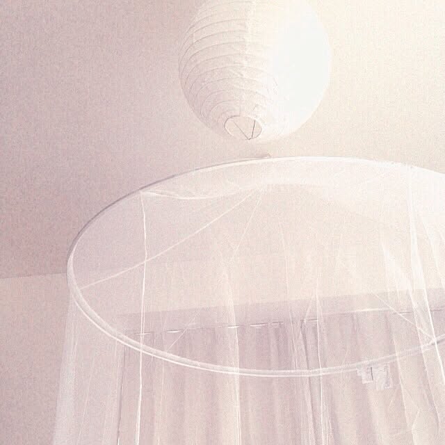 misapuuuuさんの実例写真