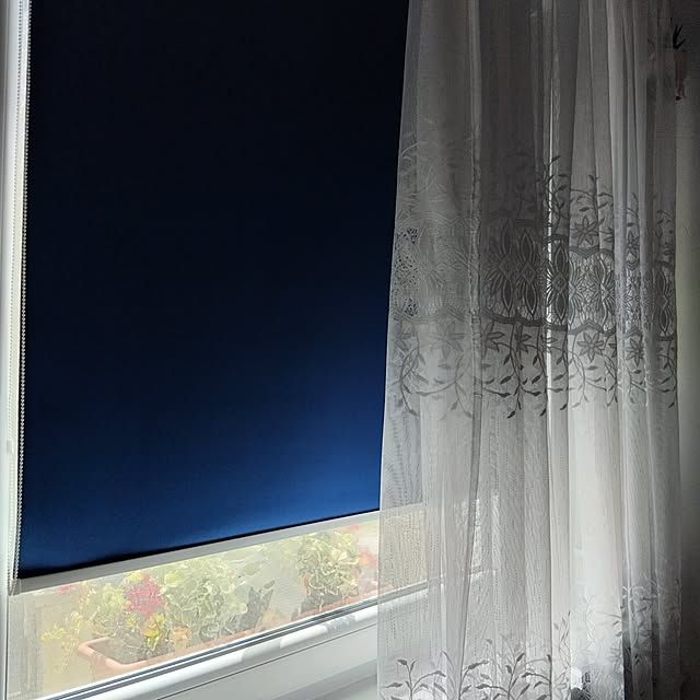 fuszliさんの部屋