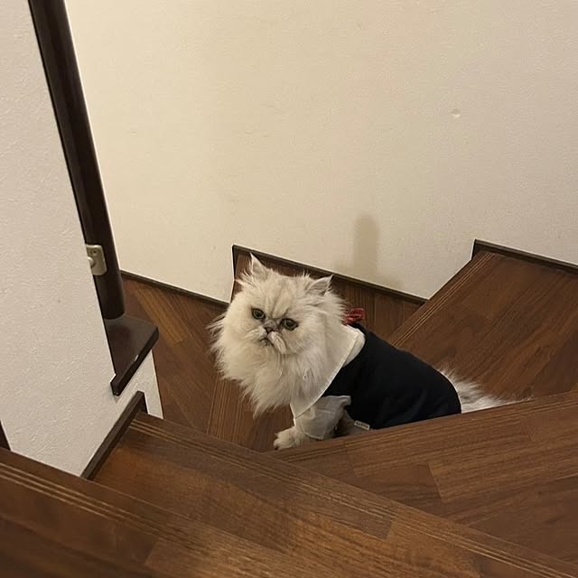 Renさんの部屋