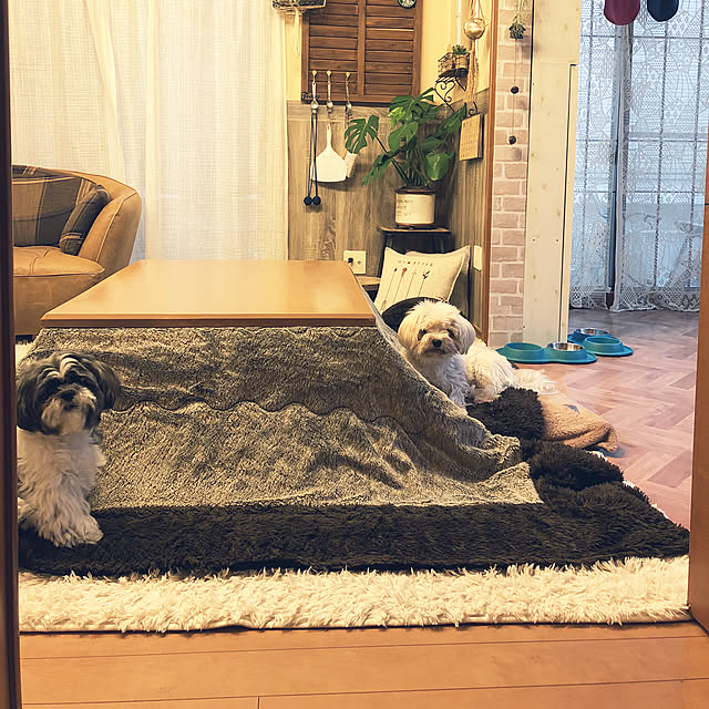 tenmaruさんの実例写真