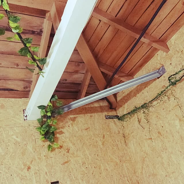 DogGardenBaByBooさんの実例写真