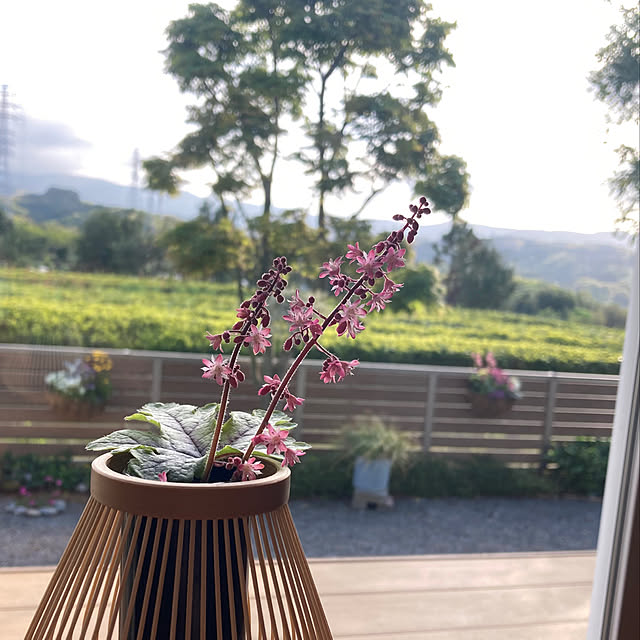 nana77さんの部屋