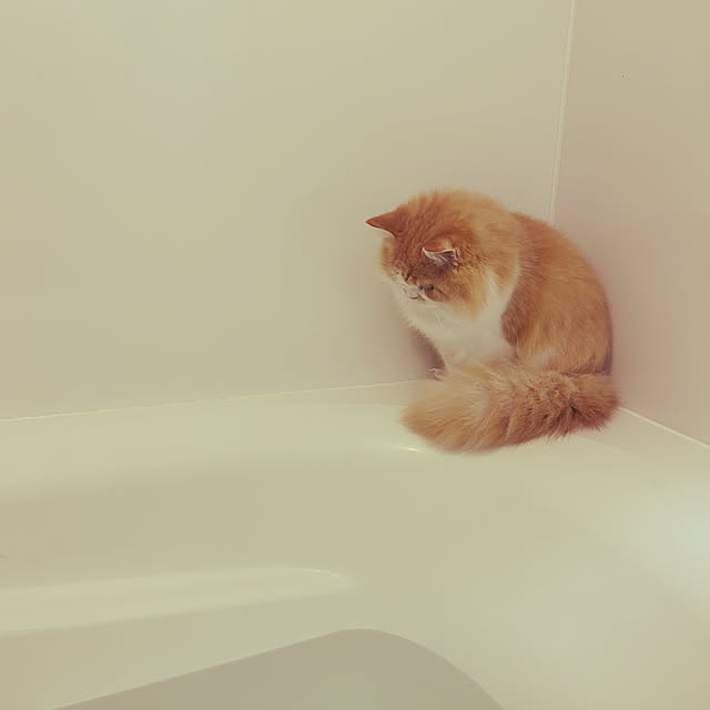 junさんの部屋