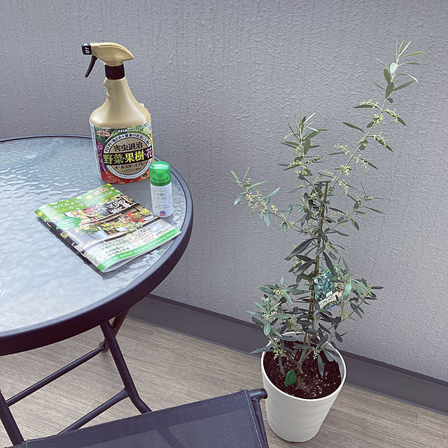 Misaさんの実例写真