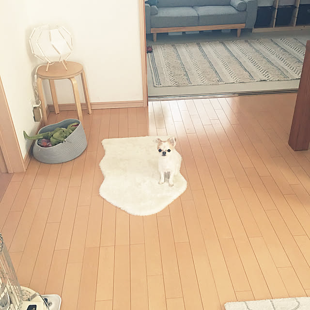 haritakaさんの実例写真