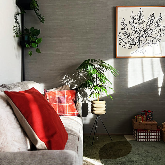 Anthuriumさんの部屋