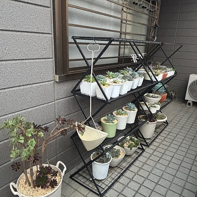 momocchiさんの部屋