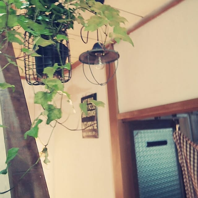 nonさんの実例写真