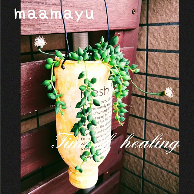 mayuさんの実例写真