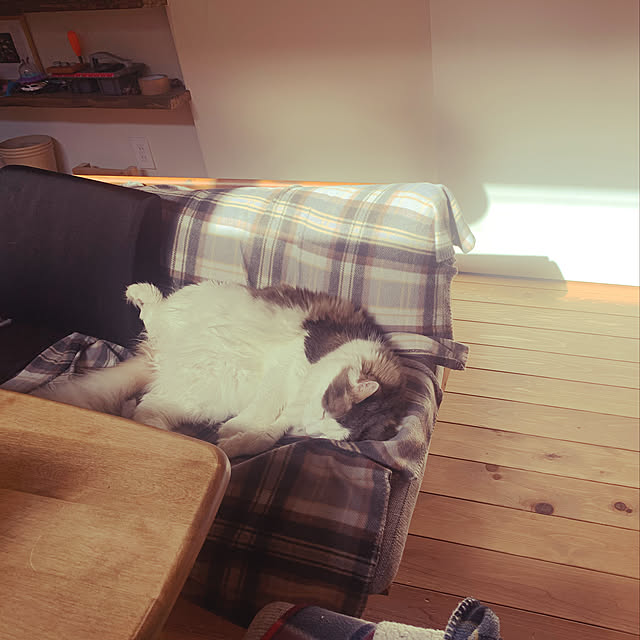 masakoさんの実例写真