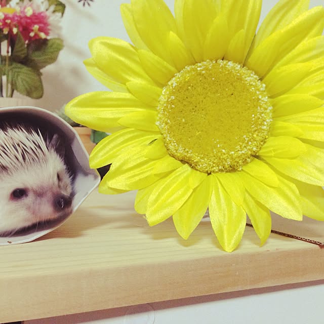 keeeさんの実例写真