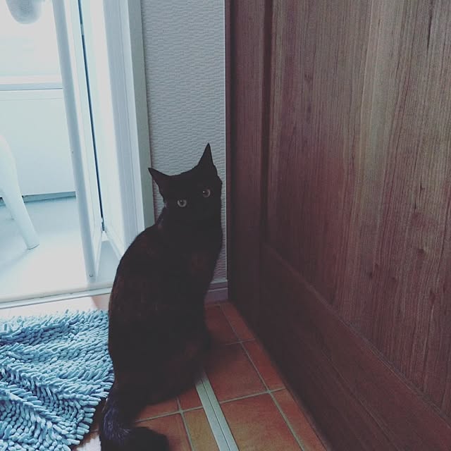 mamekoさんの部屋