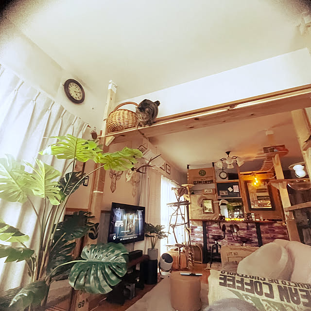 Mさんの部屋