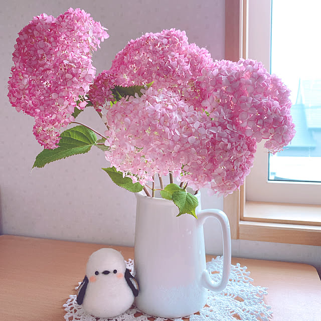 anzさんの実例写真