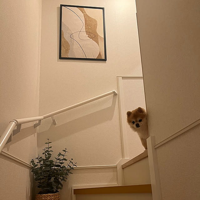 moff__0307さんの実例写真