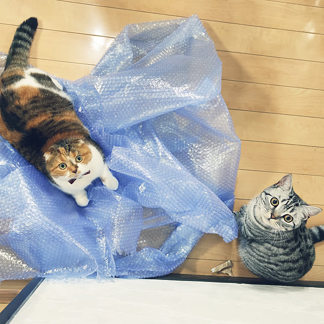 hiro3さんの実例写真