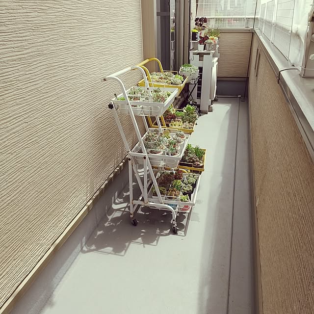 meiさんの実例写真