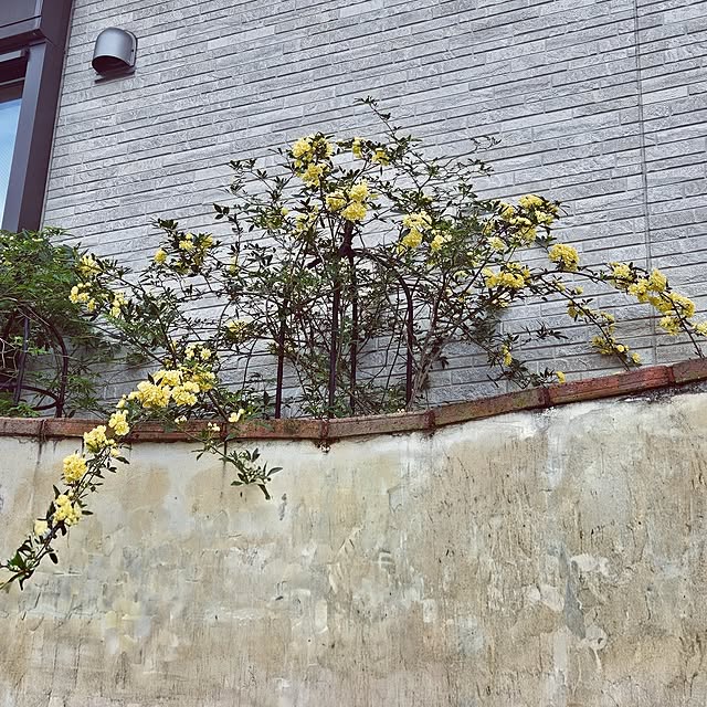 mocomocoさんの部屋