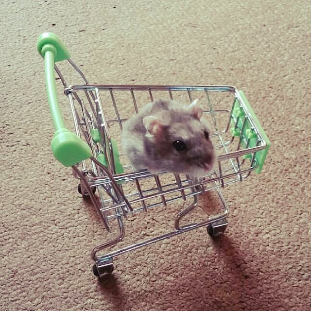 Daichiさんの実例写真