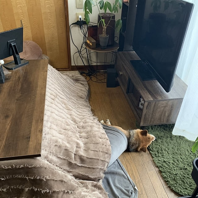 msk428815さんの実例写真