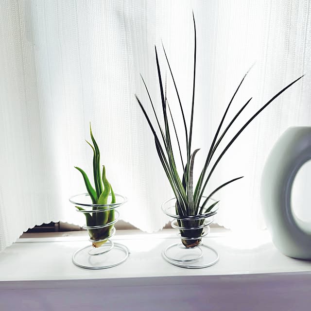 nachiさんの実例写真