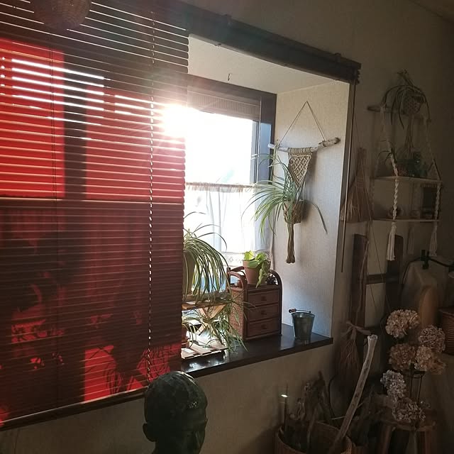 midoriさんの部屋