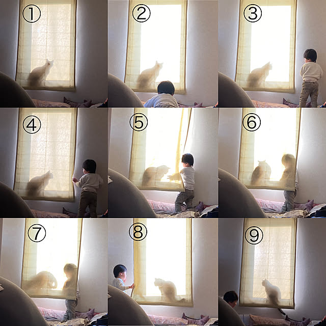hansho.sさんの実例写真