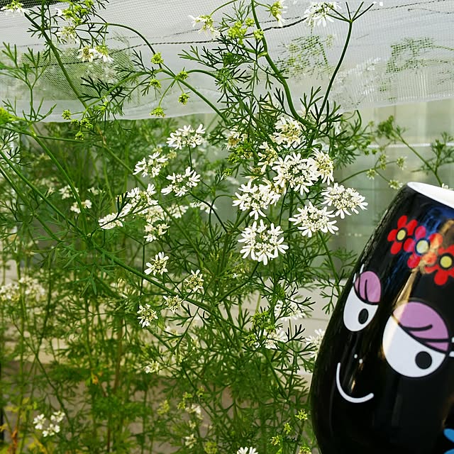 tomoppさんの実例写真