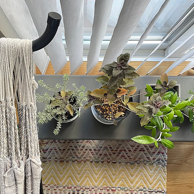 miraiiさんの部屋