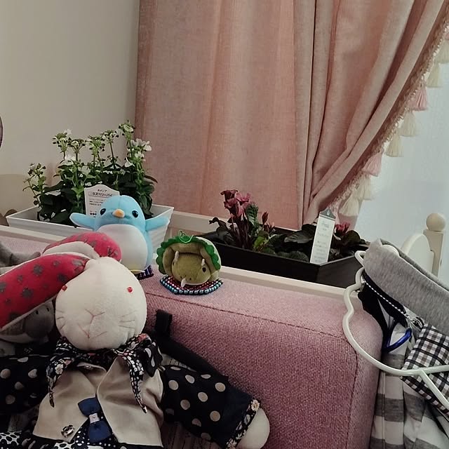 lapin23さんの実例写真